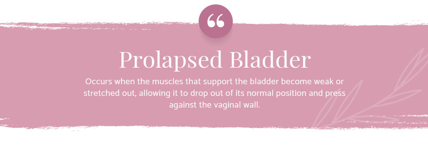 Prolapsed bladder muscles