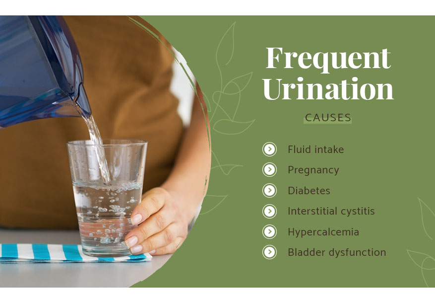 frequent urination causes