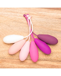 Kegel Exercise System